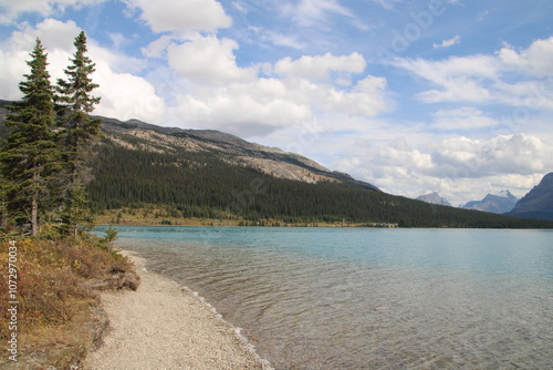 Path Along Bow Lake, Banff National Park, Alberta photo