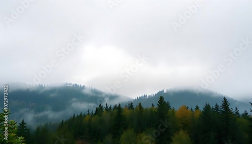 Fog over mountains with a beautiful forest