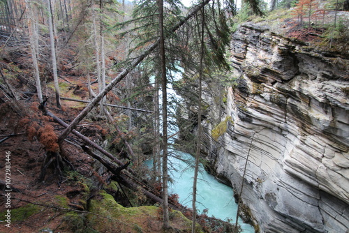 Athabasca Canyon, Jasper National Park, Alberta photo