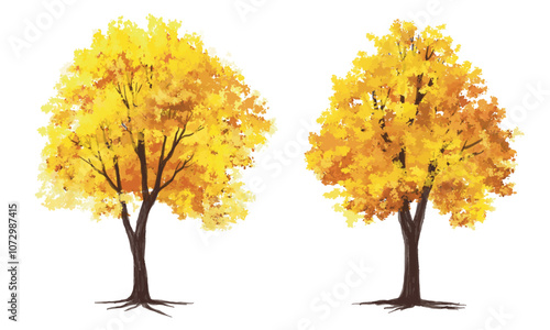 Vertor set of autumn tree,plants side view for landscape elevation and section,eco environment concept design,watercolor ginkgo tree illustration,colorfull
 season
