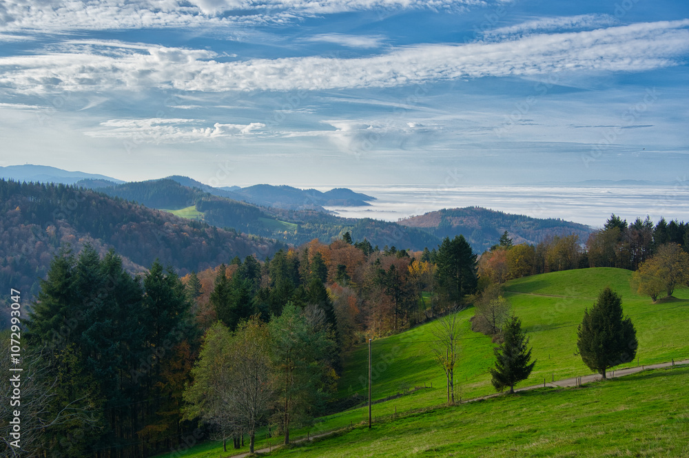 Schwarzwaldlandschaft bei St. Ulrich oberhalb von Freiburg Schwarzwaldlandschaft bei St. Ulrich oberhalb von Freiburg