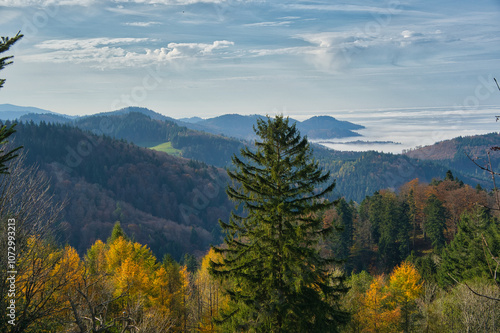 Schwarzwaldlandschaft bei St. Ulrich oberhalb von Freiburg