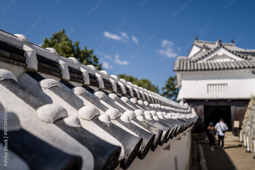 Fototapeta premium UNESCO Himeji Castle, Japanese Traditional Architecture