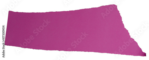 Wallpaper Mural Isolated torn purple pieces of semi-matte paper with copy space on white background Torontodigital.ca