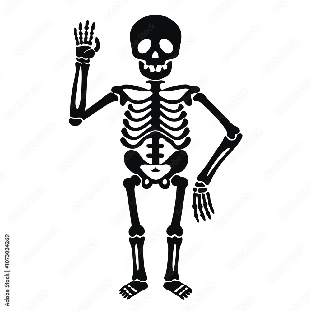 Skeleton vector silhouette isolated white background