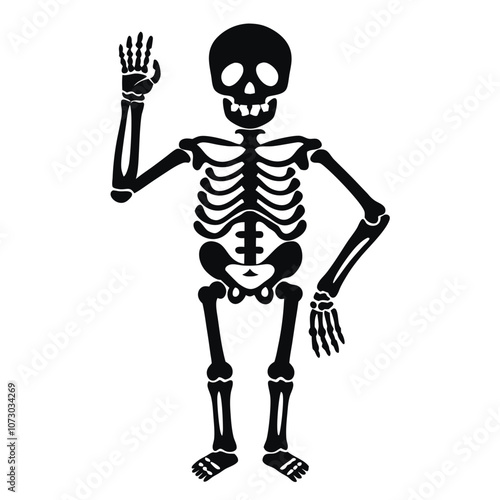 Skeleton vector silhouette isolated white background