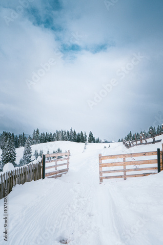 Wallpaper Mural Snow-Covered Path Leading to Rural Homes in a Winter Mountain Landscape Torontodigital.ca