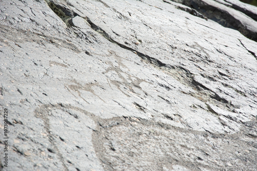 Central asian one of the most amazing rock carving petroglyphs in Altai mouintains, Western Mongolia Central asian one of the most amazing rock carving petroglyphs in Altai mouintains, Western Mongolia