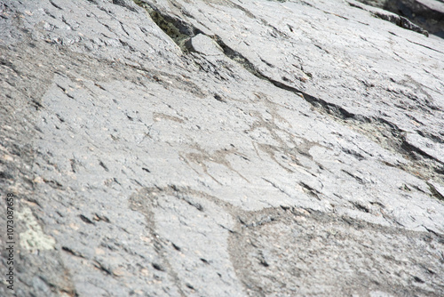Central asian one of the most amazing rock carving petroglyphs in Altai mouintains, Western Mongolia