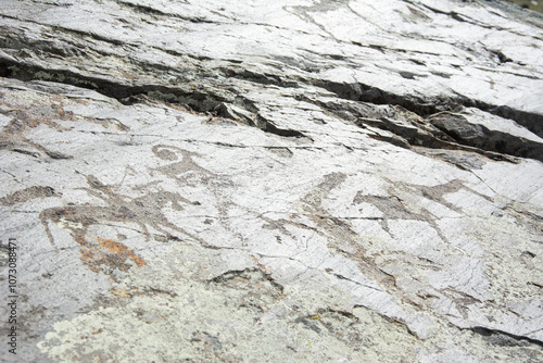 Central asian one of the most amazing rock carving petroglyphs in Altai mouintains, Western Mongolia