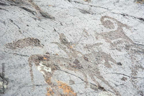 Central asian one of the most amazing rock carving petroglyphs in Altai mouintains, Western Mongolia photo