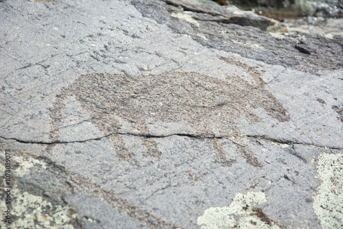 Central asian one of the most amazing rock carving petroglyphs in Altai mouintains, Western Mongolia photo