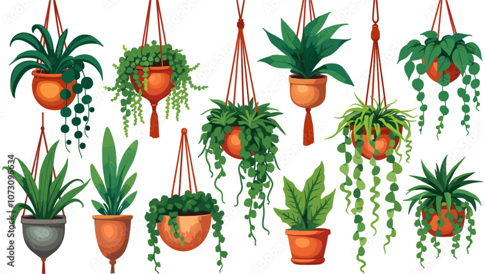 Fototapeta premium Set of macrame hangers for plants growing in pots. Bundle of hanging planters made of cotton cord, beautiful handmade home decorations isolated on white background. Cartoon flat vector illustration.