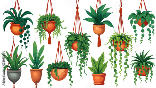 Set of macrame hangers for plants growing in pots. Bundle of hanging planters made of cotton cord, beautiful handmade home decorations isolated on white background. Cartoon flat vector illustration.