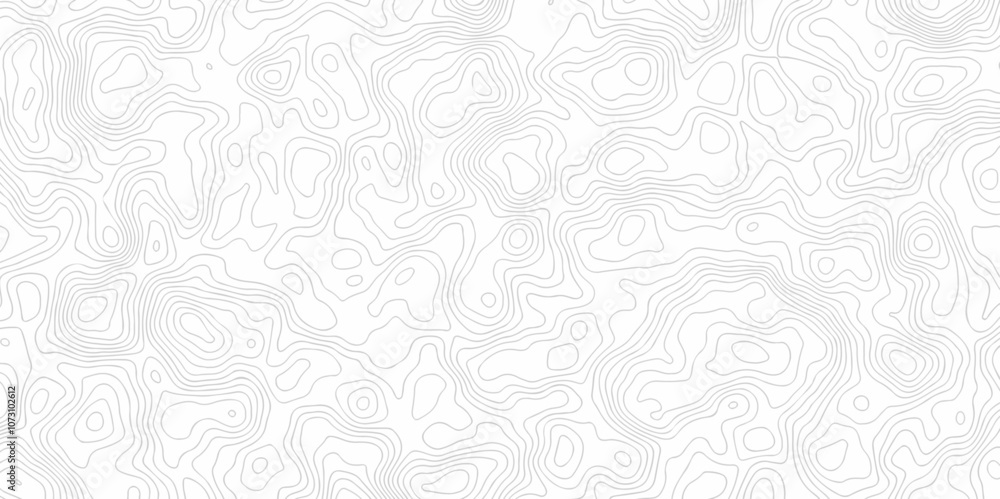 Contour abstract map relief land outline. Topographic map patterns. White wave paper curved reliefs abstract background. Background of the topography map. Abstract pattern with lines. Contour abstract map relief land outline. Topographic map patterns. White wave paper curved reliefs abstract background. Background of the topography map. Abstract pattern with lines.