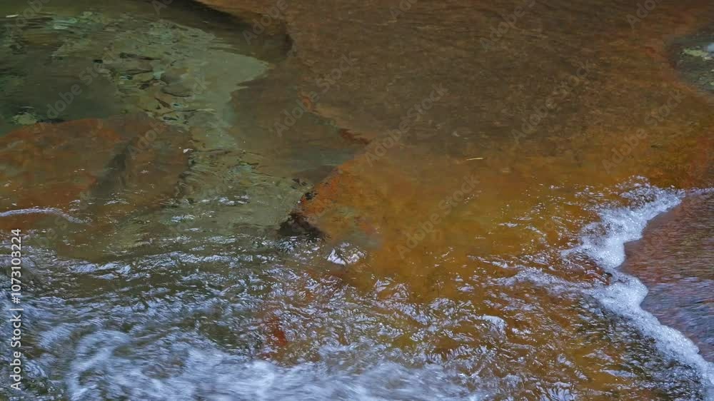 mysterious forest with river flowing over rocks mysterious forest with river flowing over rocks