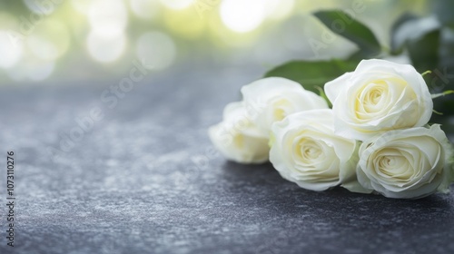 Fototapeta Naklejka Na Ścianę i Meble -  A cluster of white roses placed softly on a granite memorial stone, surrounded by a peaceful garden atmosphere