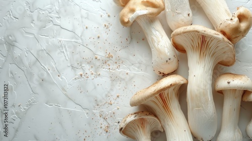 White cap mushrooms, freshly picked.