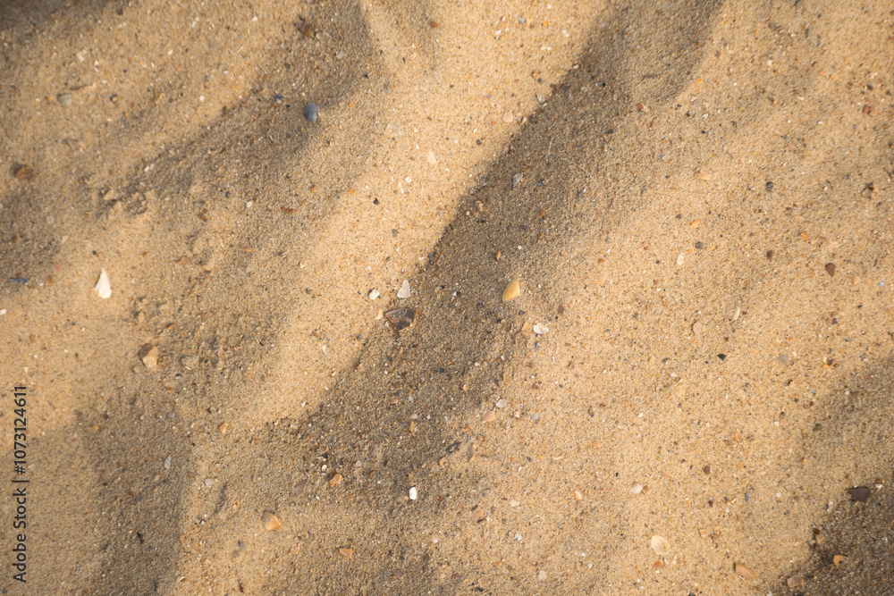 Fototapeta premium Sable de plage de la mer du nord formant des petites vagues