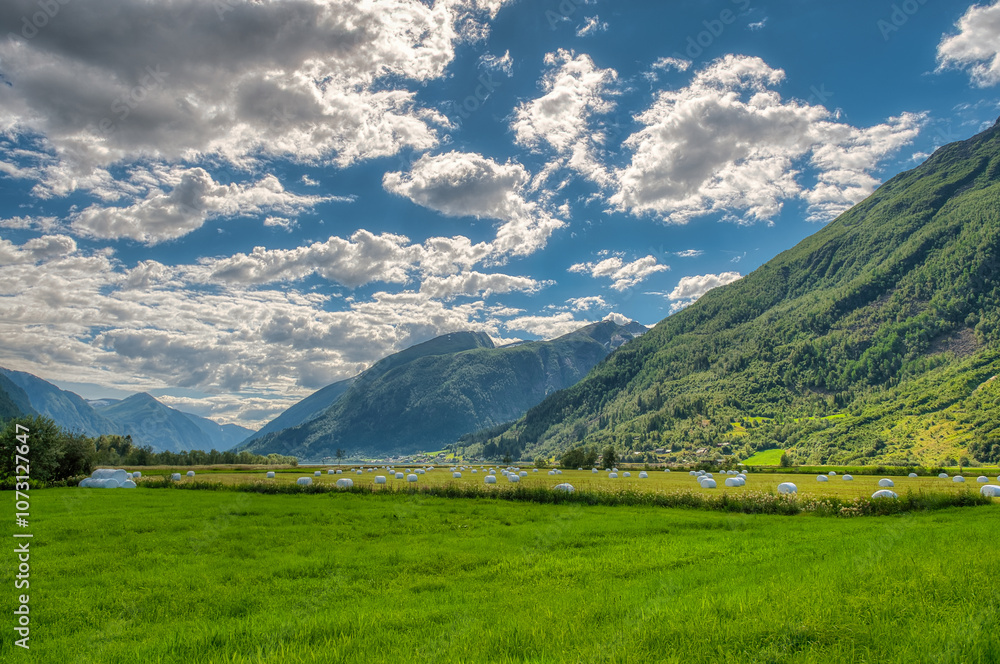 Obraz premium Fjærlandsfjorden is a fjord in Vestland county, Norway. It is an arm of the fjord that branches off from the main Sognefjorden to the north, passing through the municipality of Sogndal.