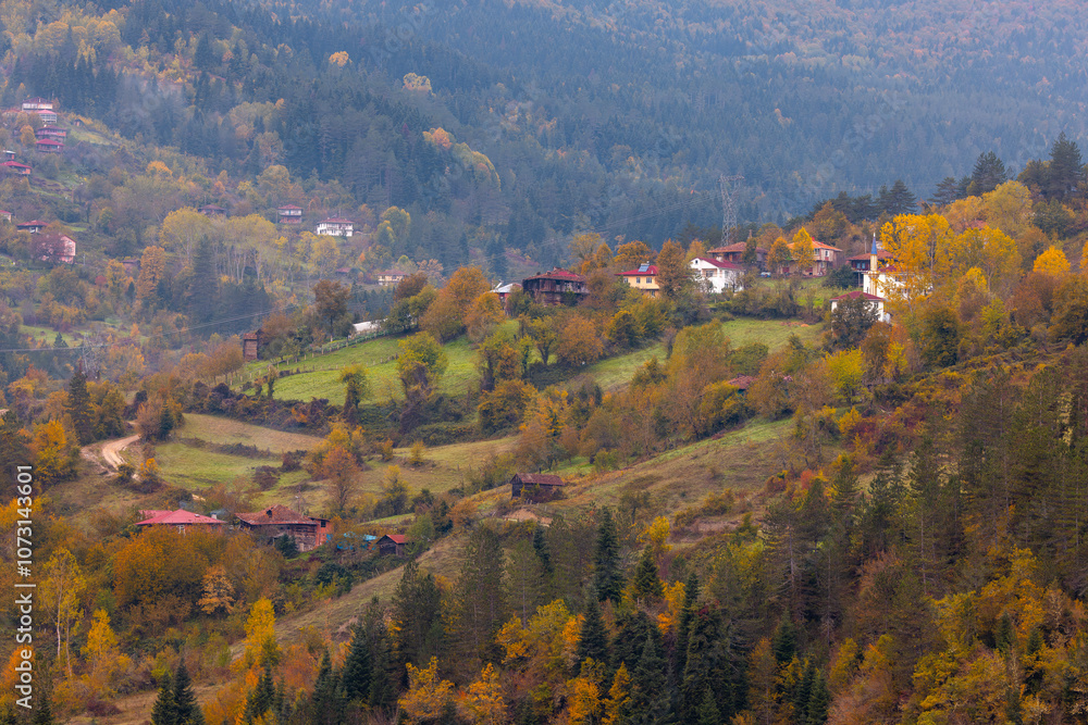 Kastamonu Province, old wooden houses and trees in autumn colors Kastamonu Province, old wooden houses and trees in autumn colors