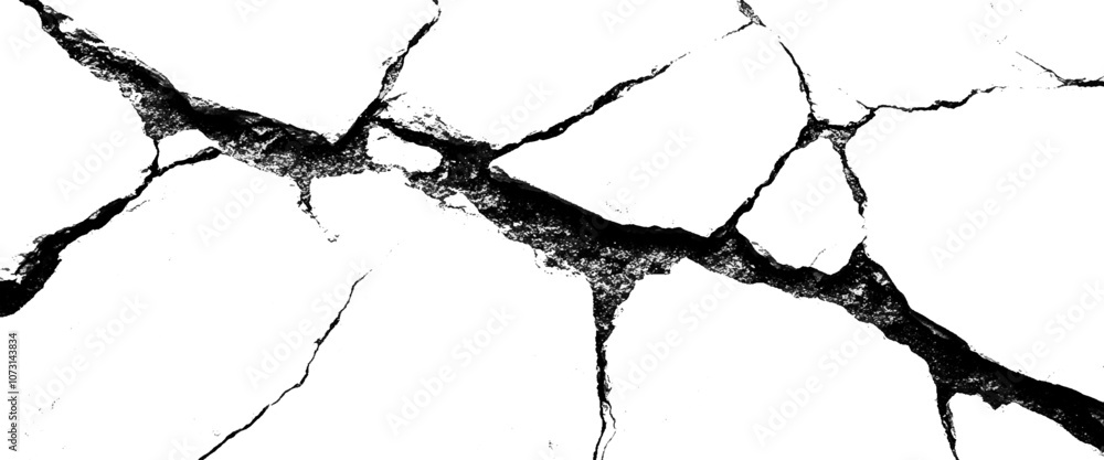 Fototapeta premium vector white and black cracked pattern texture on isolated pattern for abstract background.
