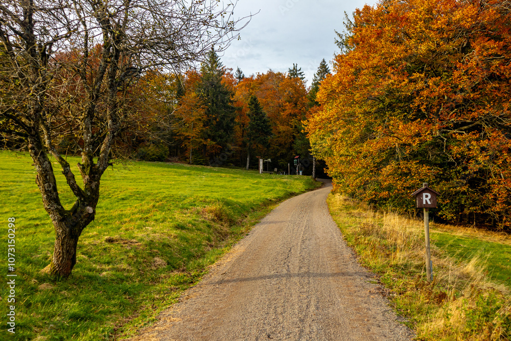 Fototapeta premium Eine Herbstliche Wanderung zum Bergsee an der Ebertswiese im farbenfrohen Thüringer Wald - Thüringen - Deutschland