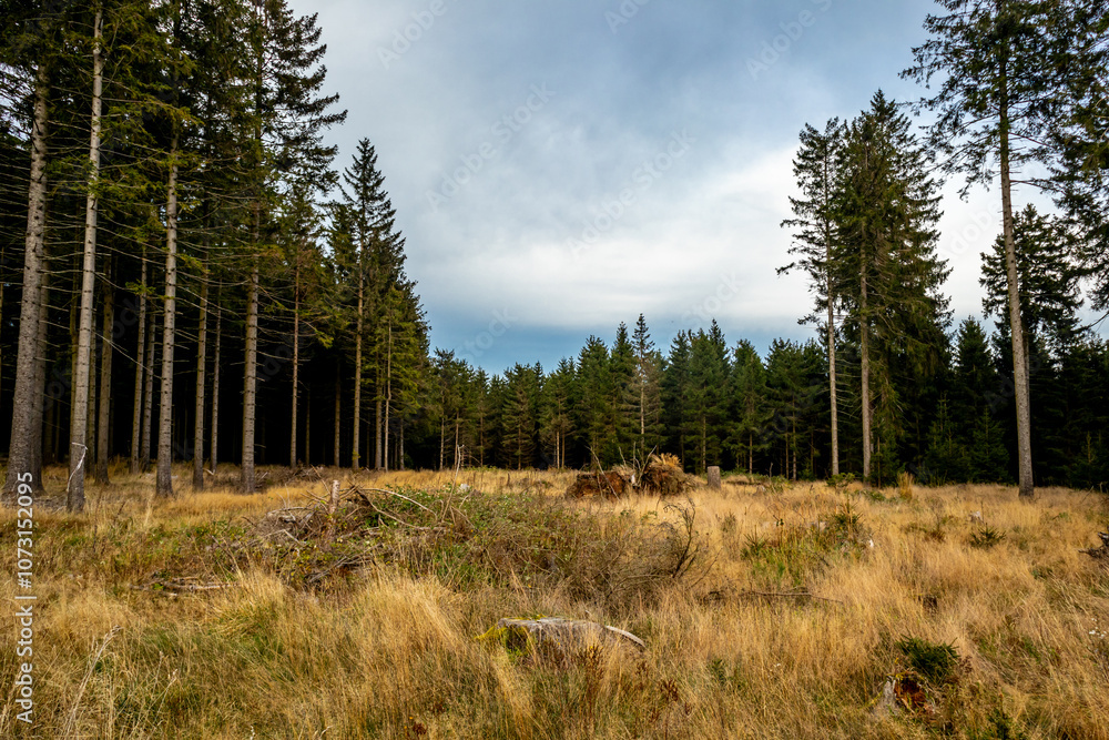 Eine Herbstliche Wanderung zum Bergsee an der Ebertswiese im farbenfrohen Thüringer Wald - Thüringen - Deutschland
Eine Herbstliche Wanderung zum Bergsee an der Ebertswiese im farbenfrohen Thüringer Wald - Thüringen - Deutschland