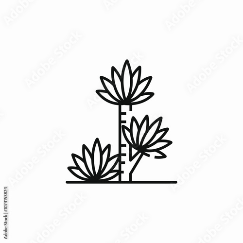 plant desert icon sign vector