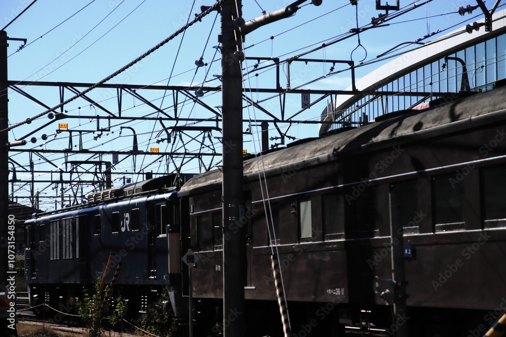 Fototapeta premium 朝の日差しを浴びて高崎駅で入替作業をする旧型客車(EF64-1053号機)_2024/11/9撮影