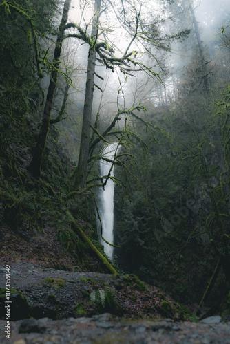 Beautiful greenery with waterfall