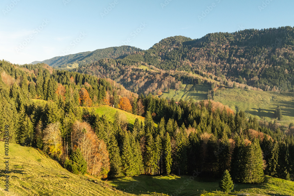 aerial view of an autumnal mixed forest with colorful leaves in the Allgaeu Alps. Bavaria, Germany aerial view of an autumnal mixed forest with colorful leaves in the Allgaeu Alps. Bavaria, Germany