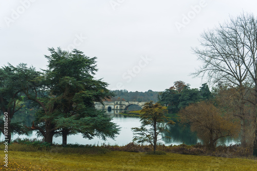 landscape with trees