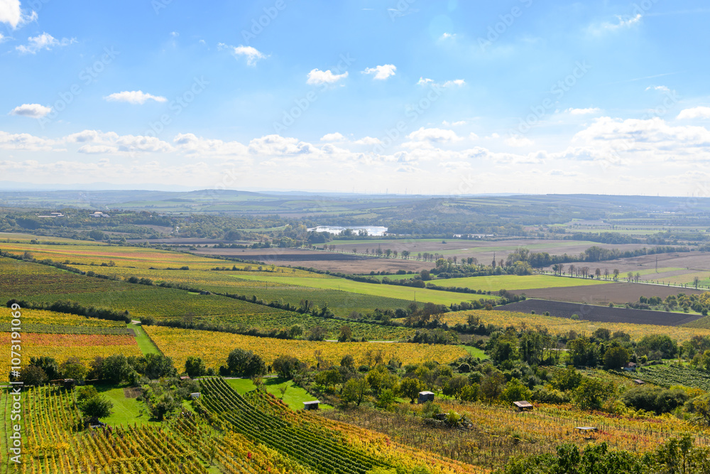 Fototapeta premium Landscape view, rural view of South Moravia, Czech Republic
