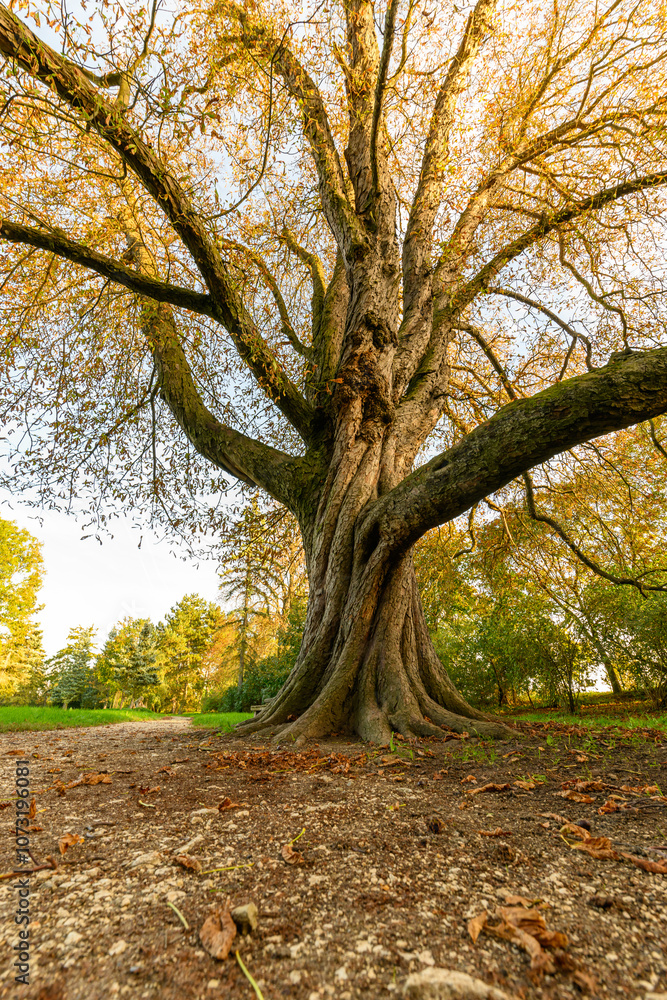 Fototapeta premium Morava Castle Park Lednicko Valtice area