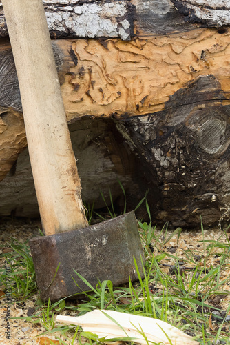 Cleaver ax for preparing firewood for the winter, vertical photo photo