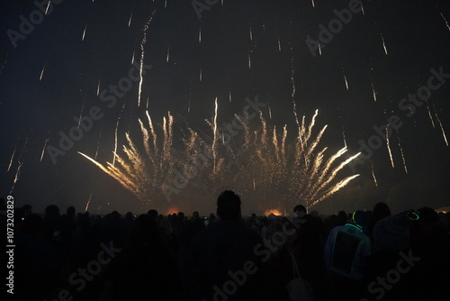 fireworks over the city