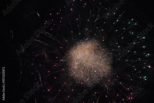 fireworks in the night sky