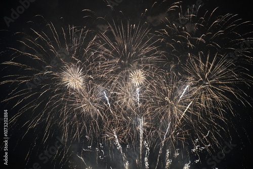 fireworks in the sky