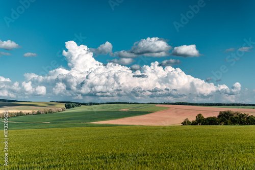 landscape with field and sky