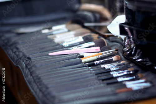 brushes makeup artist, set of make up brushes in the bag