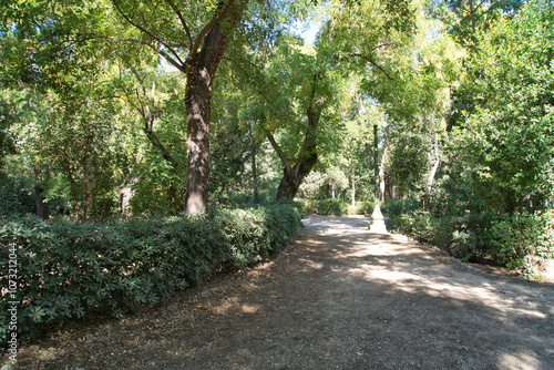 National garden in Athens Greece, a serene pathway meanders through a lush green forest on a sunny afternoon, inviting exploration and tranquility