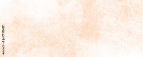 Classic Pastel Peach Canvas with Subtle and Organic Textures for an Elegant Look
