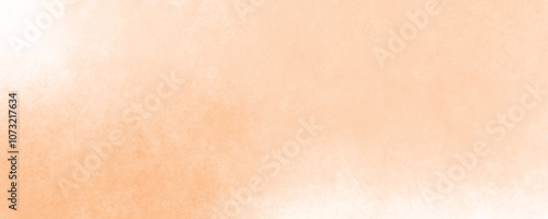 Classic Pastel Peach Canvas with Subtle and Organic Textures for an Elegant Look
