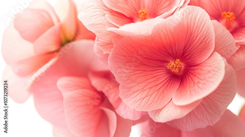 Delicate Pink Flower Close-up