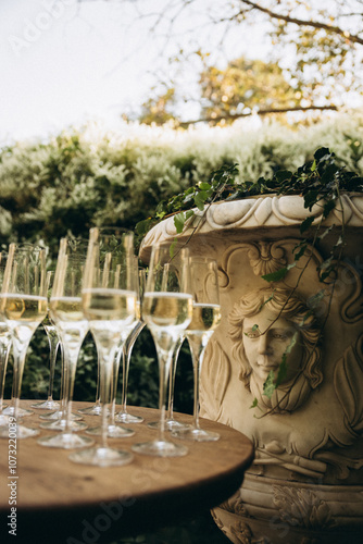 fountain in the garden