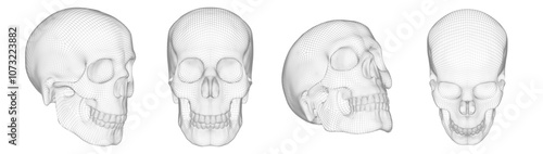 The image is a set of skulls, made in the form of a grid frame on a white background. This is a digital 3D model demonstrating the modeling technique. Vector illustration.