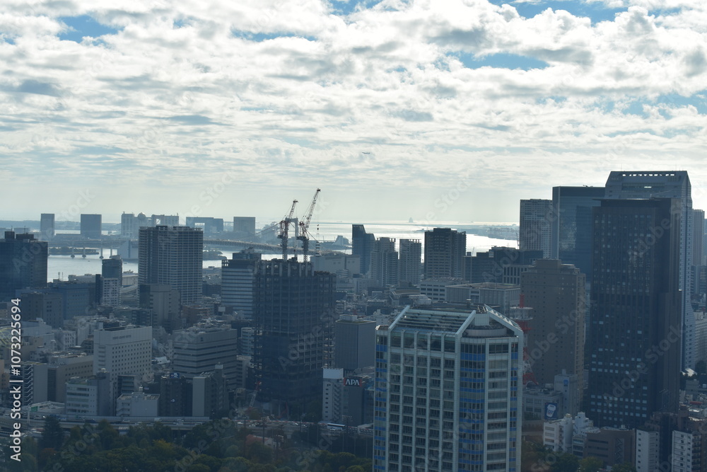 Obraz premium 東京都の風景