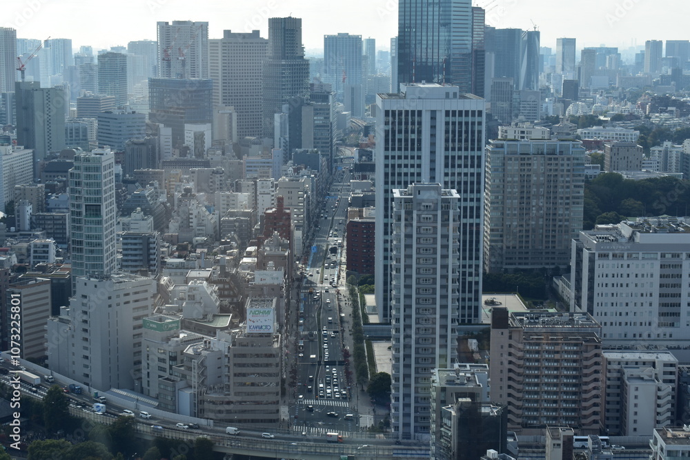 Fototapeta premium 東京都の風景
