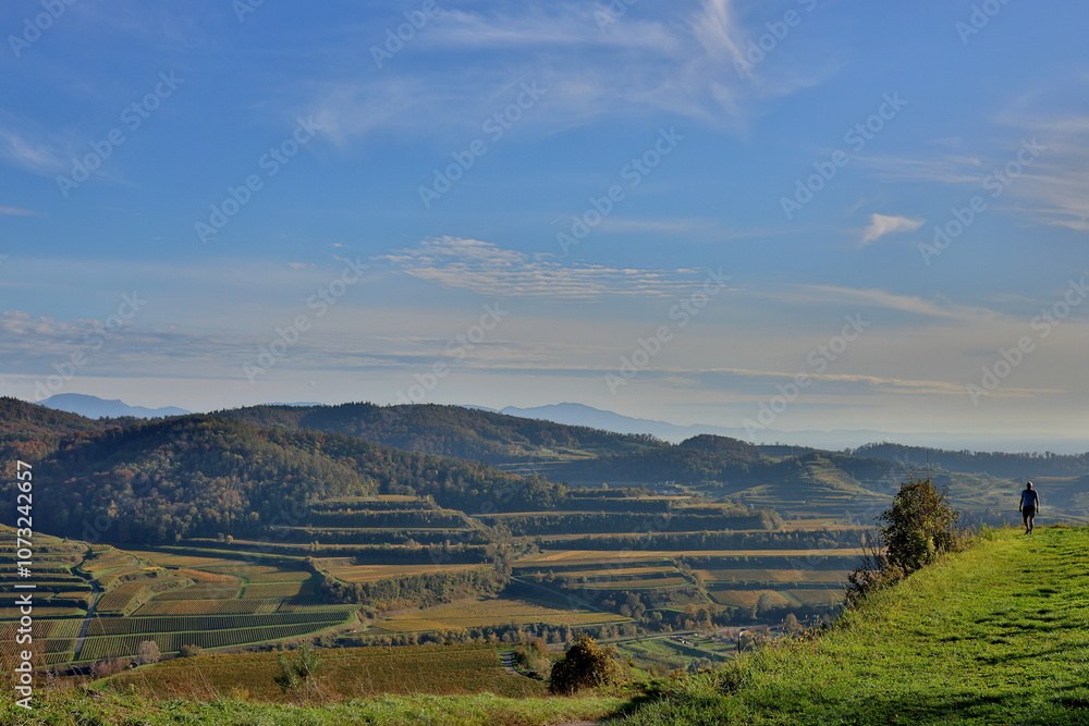 Naklejka premium Herbstlandschaft bei Vogtsburg im Kaiserstuhl